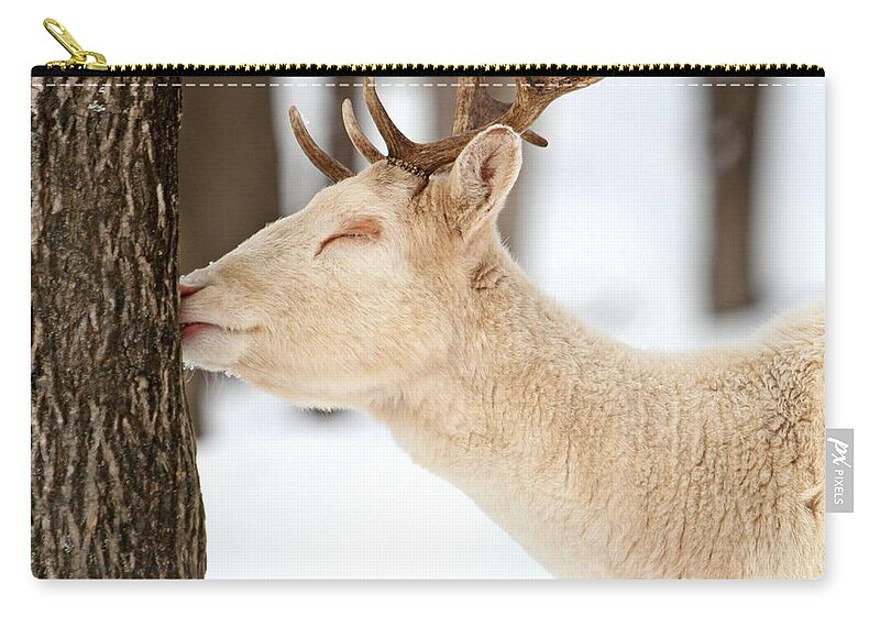Deer Zip Pouch featuring the photograph I LOVE this tree by Heather King