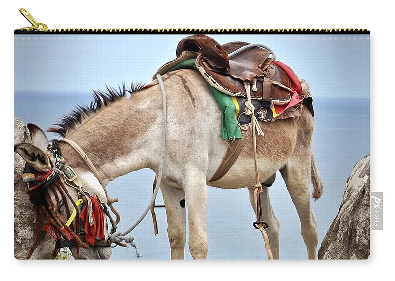 #donkey Zip Pouch featuring the photograph I Need A Vacation by Cornelia DeDona