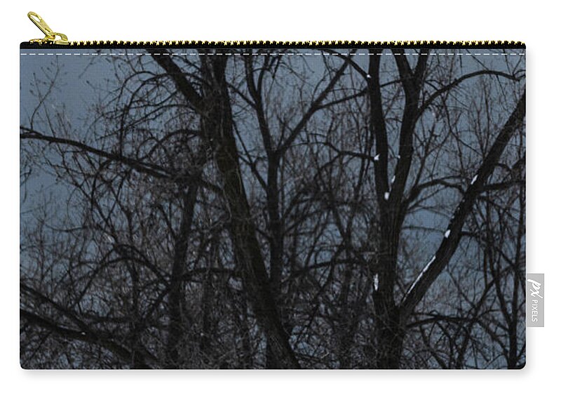 Ohio Zip Pouch featuring the photograph I See Trees... by Stewart Helberg