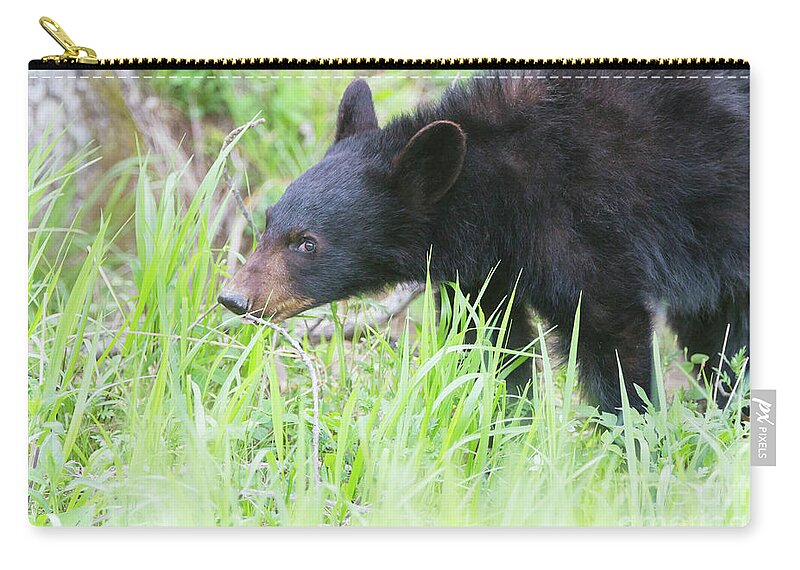 Bear Zip Pouch featuring the photograph I See You Little Bear by Chris Scroggins