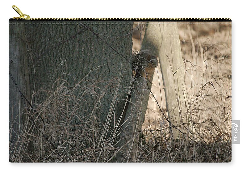 Squirrel Carry-all Pouch featuring the photograph I see you by Troy Stapek