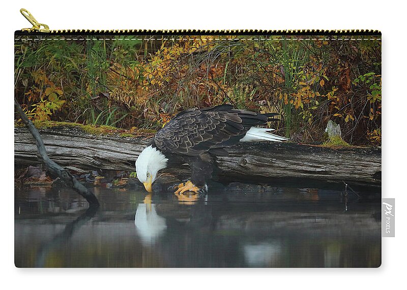 Eagles Zip Pouch featuring the photograph I Sure Am Handsome by Duane Cross
