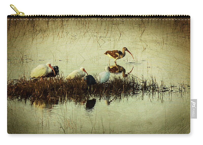 Birds Zip Pouch featuring the photograph Ibis at Sunset in the Everglades by George Kenhan