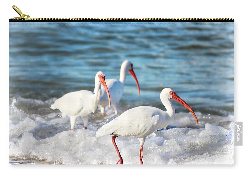 Ibis Zip Pouch featuring the photograph Ibis In Ocean Surf by Barbara Chichester