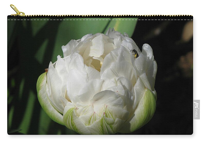  Floral Zip Pouch featuring the photograph Ice Age Tulip With Insect by KATIE Vigil