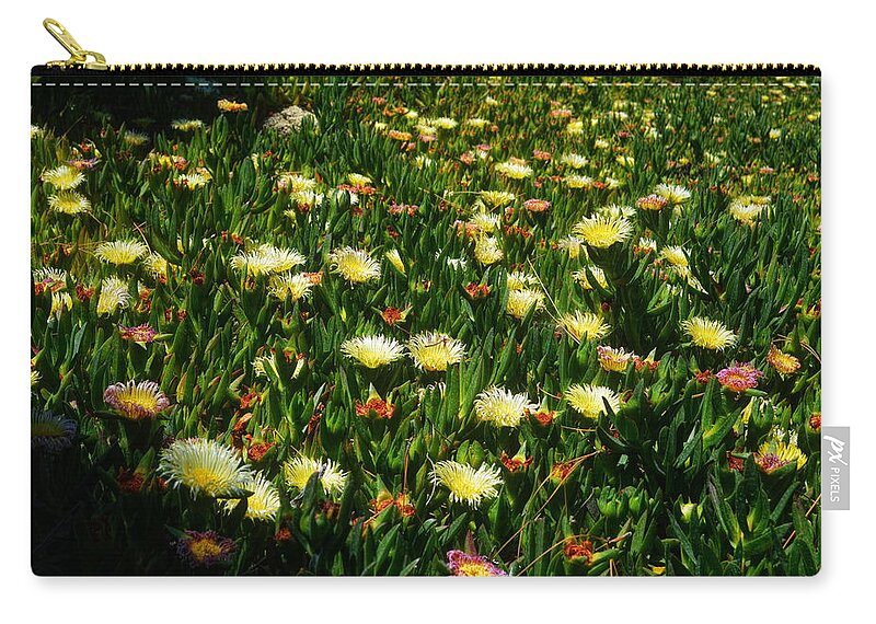 Ice Plants In Bloom Zip Pouch featuring the photograph Ice Plants In Bloom by Glenn McCarthy Art and Photography