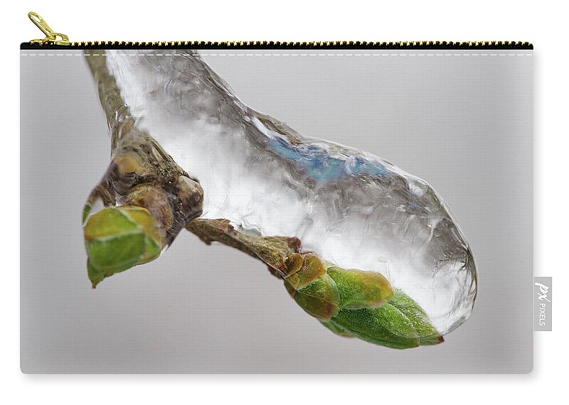 Awakening Carry-all Pouch featuring the photograph Ice Storm buds by Jakub Sisak