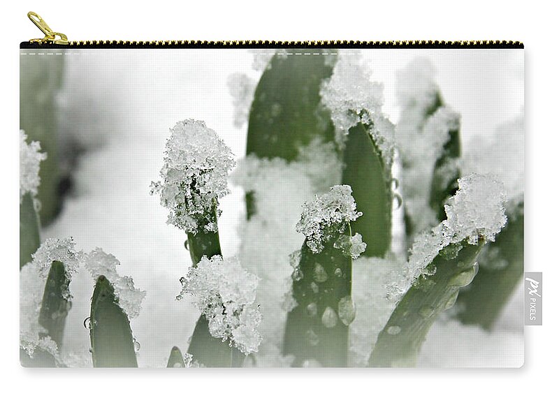 Purple Zip Pouch featuring the photograph Icy Hyacinths by KATIE Vigil