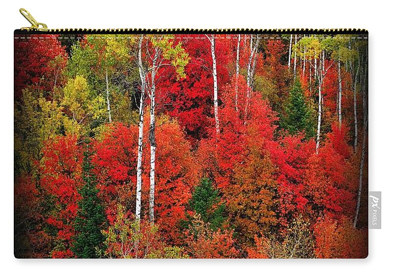 Idaho Zip Pouch featuring the photograph Idaho Autumn T-Shirt by Greg Norrell