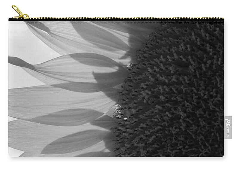 Black And White Zip Pouch featuring the photograph Illuminated Half Sunflower Grayscale by Mary Anne Delgado
