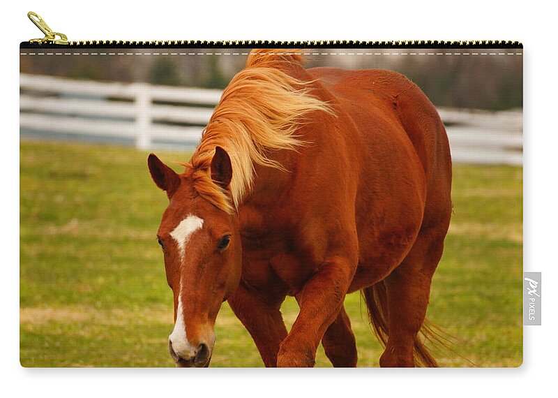 Horse Zip Pouch featuring the photograph I'm Coming by Beth Collins