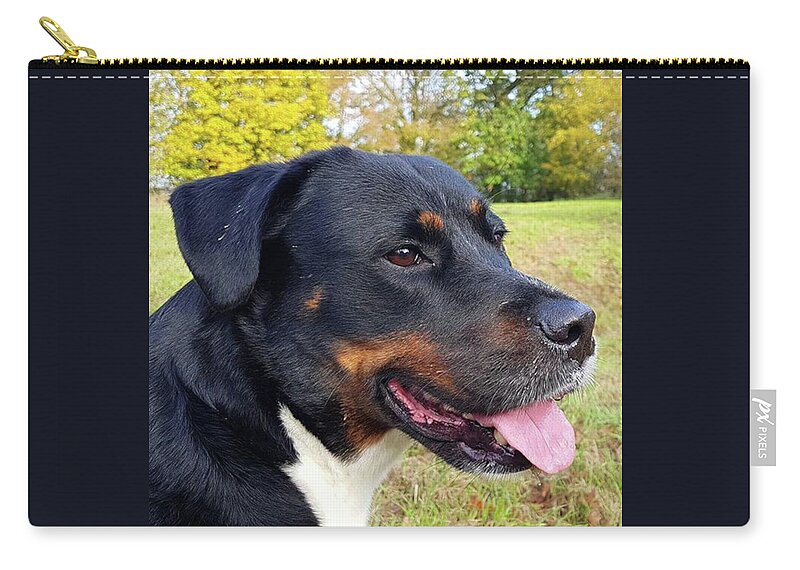Bepresent Zip Pouch featuring the photograph Out In Autumn by Rowena Tutty