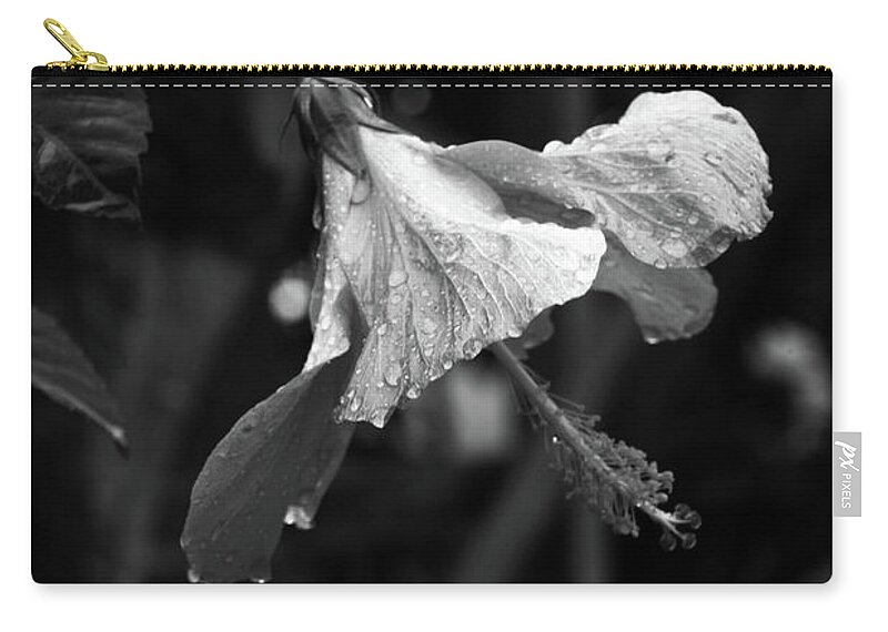 Mati Zip Pouch featuring the photograph I'm Here After All by Jez C Self