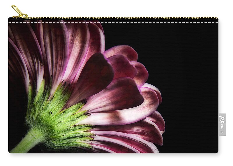 Gerber Daisy Zip Pouch featuring the photograph I'm Not Perfect by Sandra Parlow