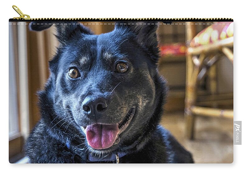 Dog Zip Pouch featuring the photograph Ready When You Are by Keith Armstrong