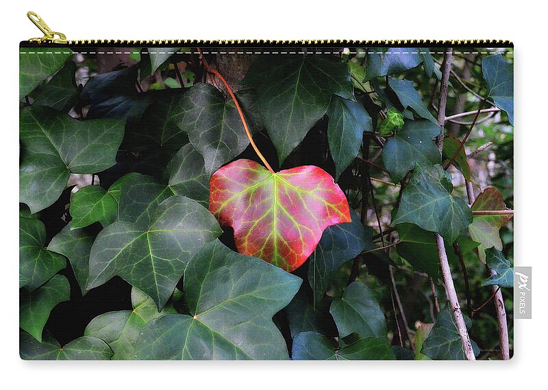 Ivy Zip Pouch featuring the photograph I'm So Embarrased by Donna Blackhall
