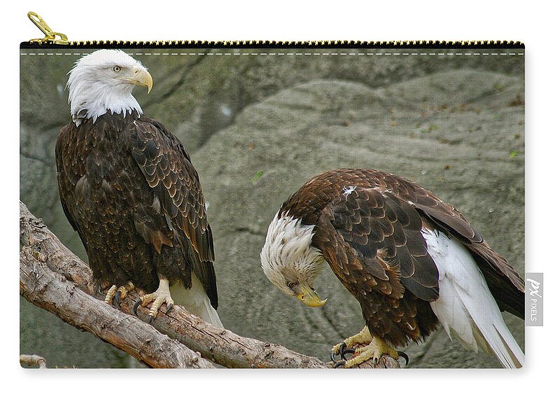 Eagle Zip Pouch featuring the photograph I'm Sorry by Michael Peychich