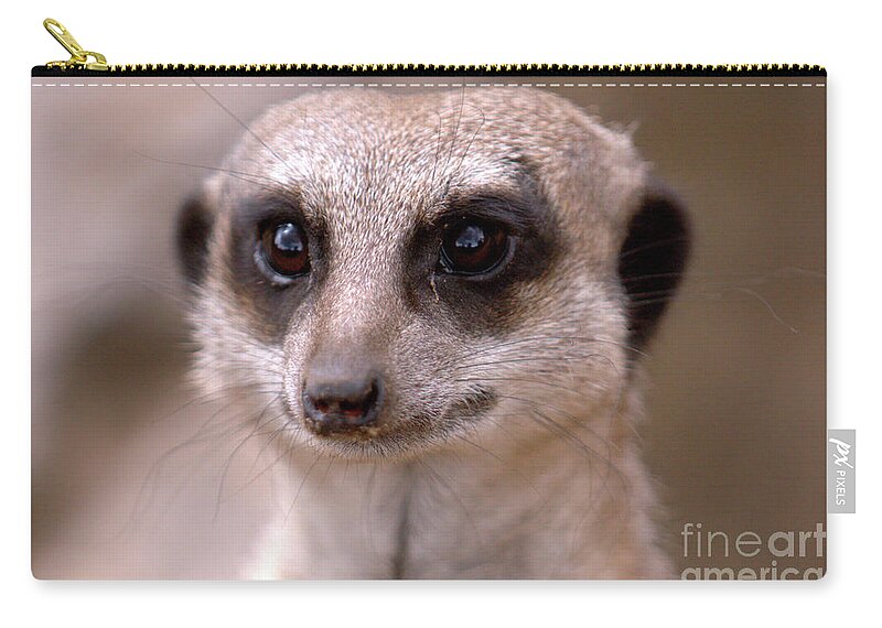 Animal. Meerkat Carry-all Pouch featuring the photograph Im Watching You by Baggieoldboy
