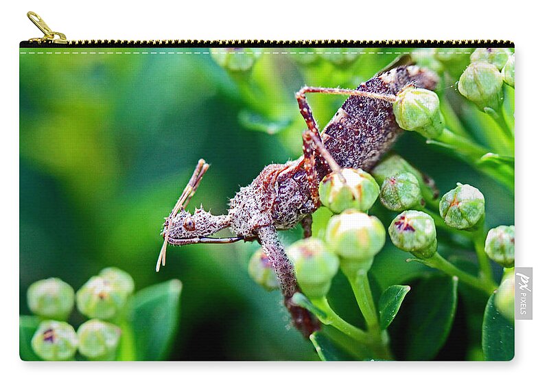 Insects Zip Pouch featuring the photograph I'm Watching You by Jennifer Robin