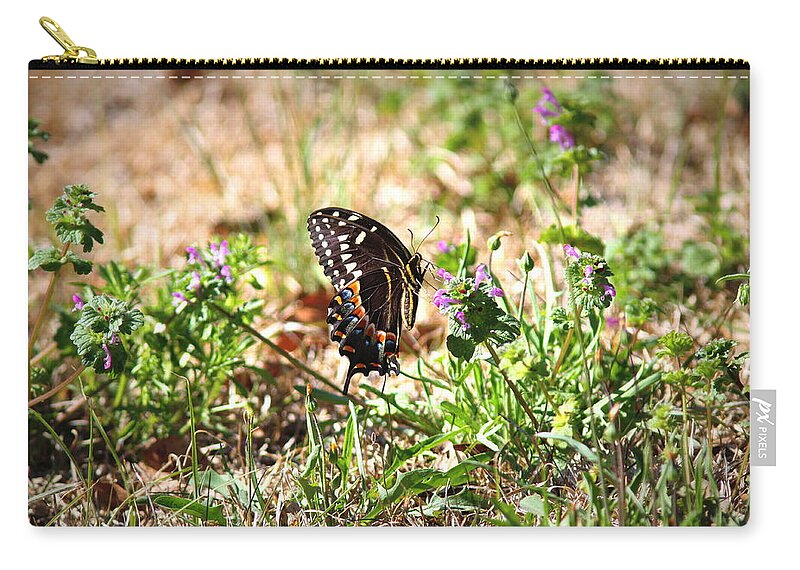 Butterfly Zip Pouch featuring the photograph IMG_1122 - Butterfly by Travis Truelove