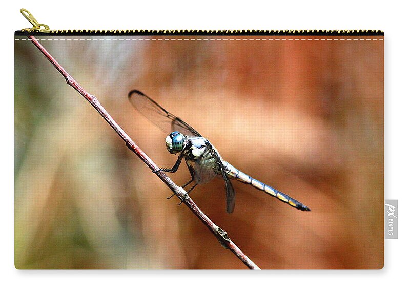 Dragonfly Zip Pouch featuring the photograph IMG_6740 - Dragonfly by Travis Truelove