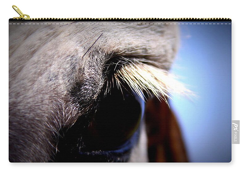Horse Zip Pouch featuring the photograph IMG_9997 - Horse by Travis Truelove