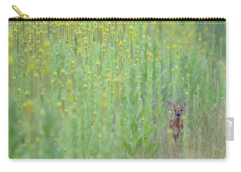 Fawn Zip Pouch featuring the photograph Immersed In Mullein by Brook Burling