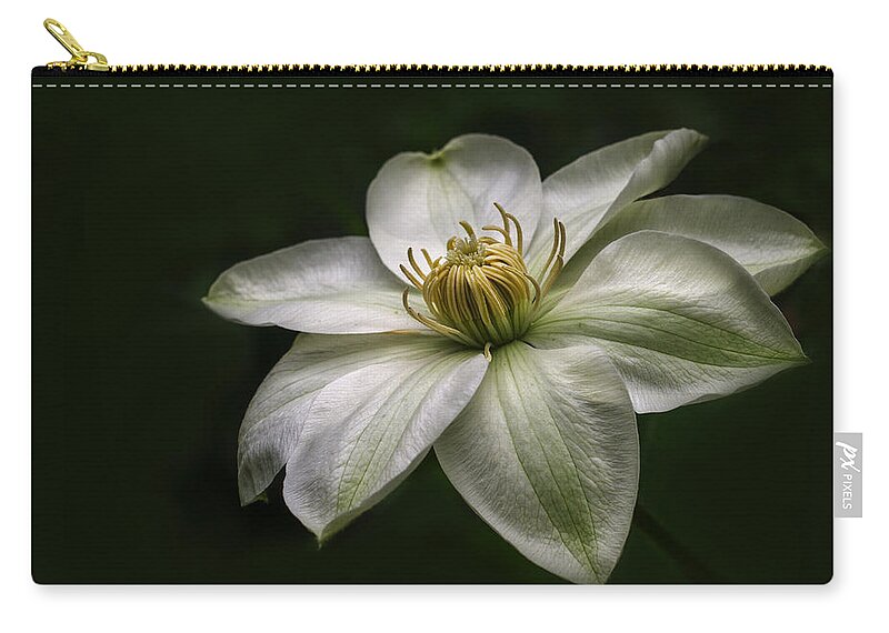  Clematis Zip Pouch featuring the photograph In Bloom by Eleanor Bortnick