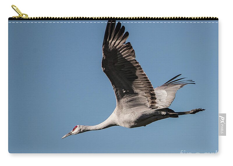 Sandhill Crane Zip Pouch featuring the photograph In Flight by John Greco