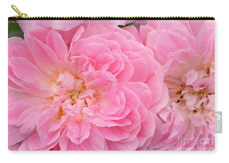 Roses Zip Pouch featuring the photograph In Full Bloom by Regina Geoghan