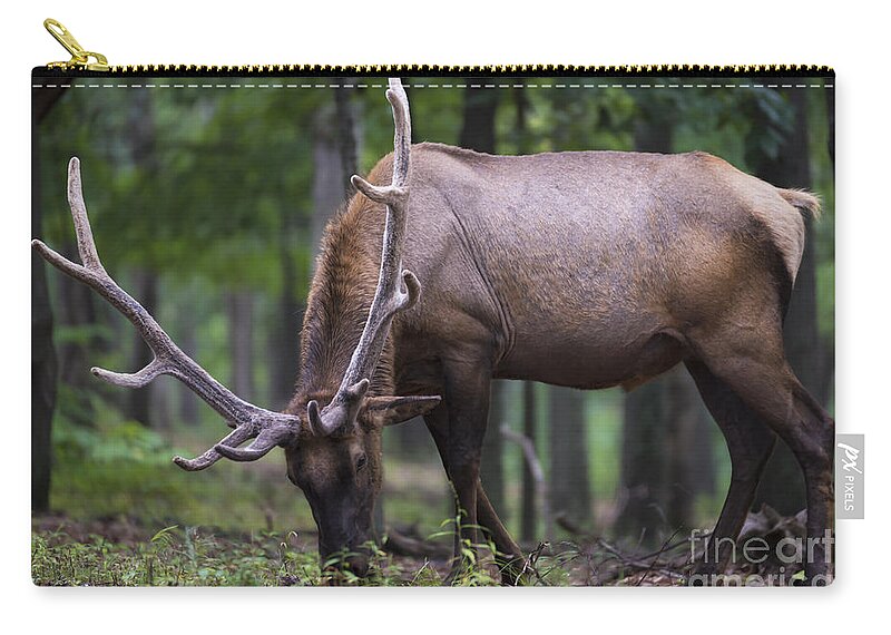 Antler Zip Pouch featuring the photograph In Full Velvet by Andrea Silies
