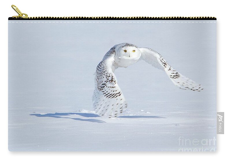 Snowy Owls Zip Pouch featuring the photograph In her sight by Heather King