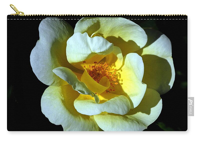 Rose Zip Pouch featuring the photograph In Light by Lynda Lehmann