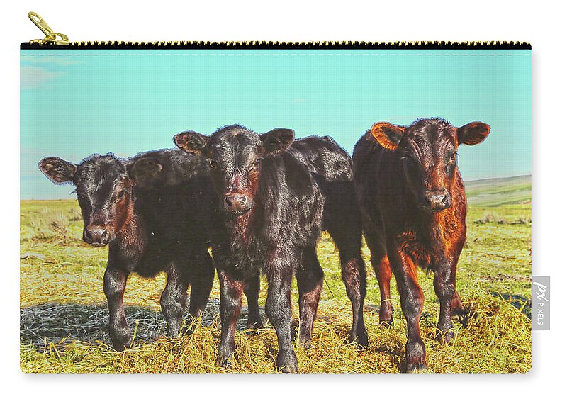 Calves Zip Pouch featuring the photograph In the Mood for Hay by Amanda Smith
