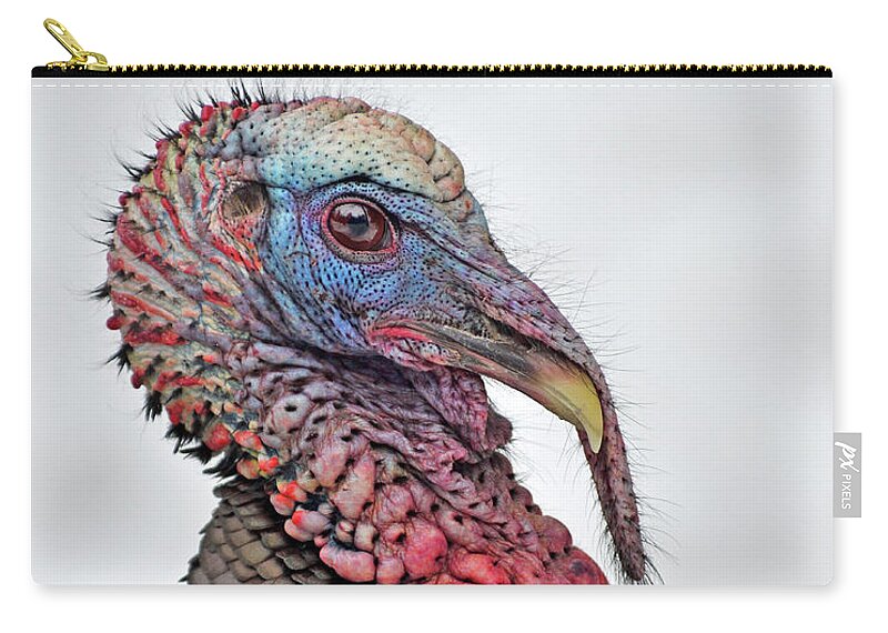 An Adult Male Wild Turkey Portrait - Parc Omega Zip Pouch featuring the photograph In The Mood by Tony Beck