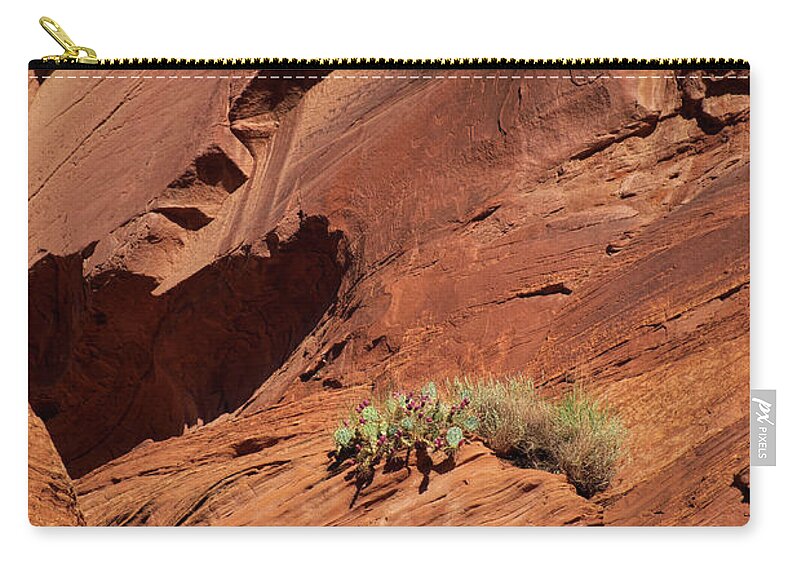 Arizona Zip Pouch featuring the photograph In The Rock Life Will Come by Lucinda Walter