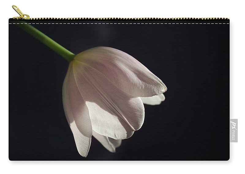 Tulip Zip Pouch featuring the photograph In the Spotlight by Kim Hojnacki