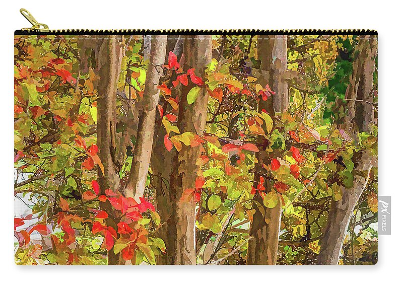 Trees Zip Pouch featuring the photograph In the Trees by Susan Eileen Evans