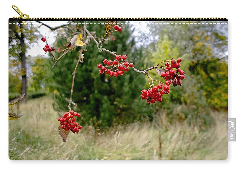 Autumn Zip Pouch featuring the photograph In the wind of leaf fall by Elena Perelman