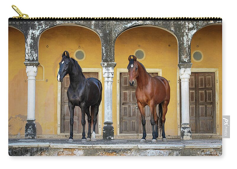 Russian Artists New Wave Zip Pouch featuring the photograph Indian Princesses by Ekaterina Druz