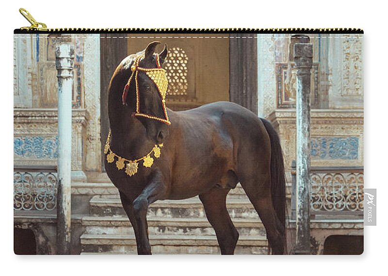 Russian Artists New Wave Carry-all Pouch featuring the photograph Indian Treasure by Ekaterina Druz