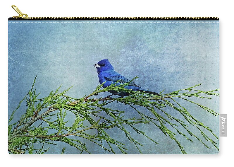 Indigo Bunting Zip Pouch featuring the photograph Indigo Bunting on Pine by Sandy Keeton
