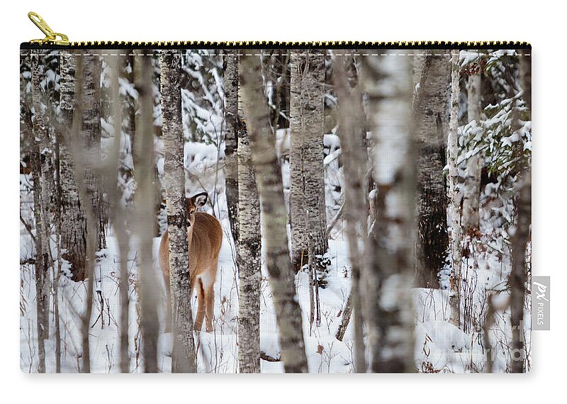 Minnesota Zip Pouch featuring the photograph Indus Fawn by Lori Dobbs