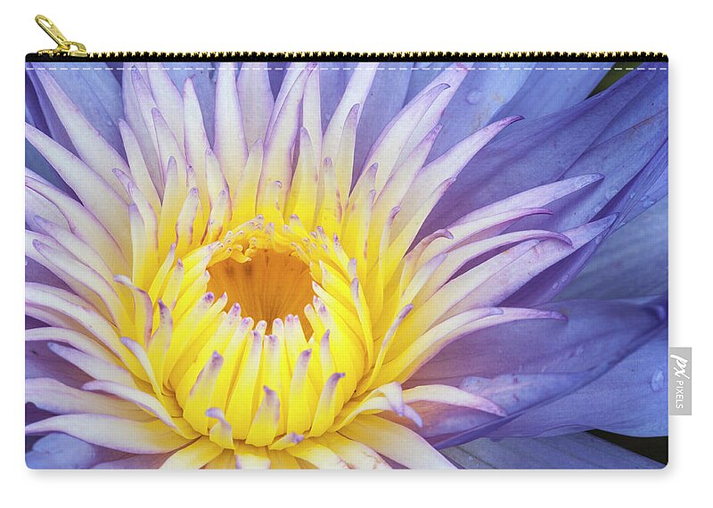 Waterlily Zip Pouch featuring the photograph Perfect symmetry of a blossom by Usha Peddamatham