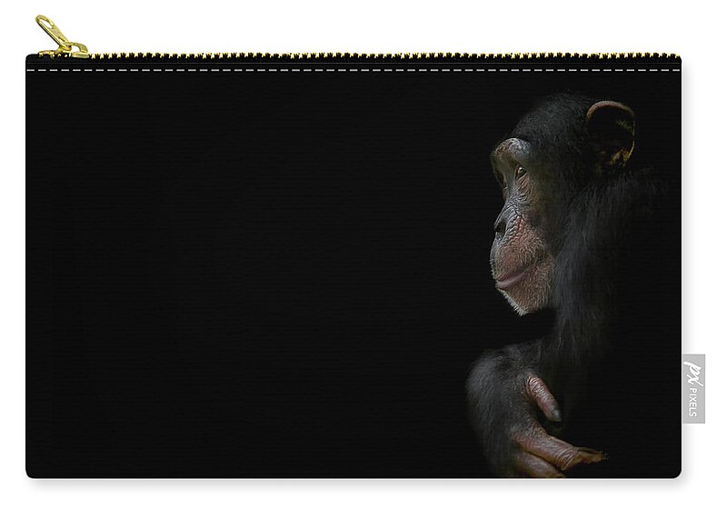Chimpanzee Zip Pouch featuring the photograph Innocence by Paul Neville