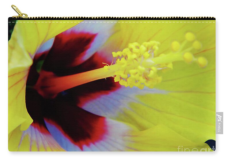 Hibiscus Zip Pouch featuring the photograph Inside A Yellow Beauty by D Hackett