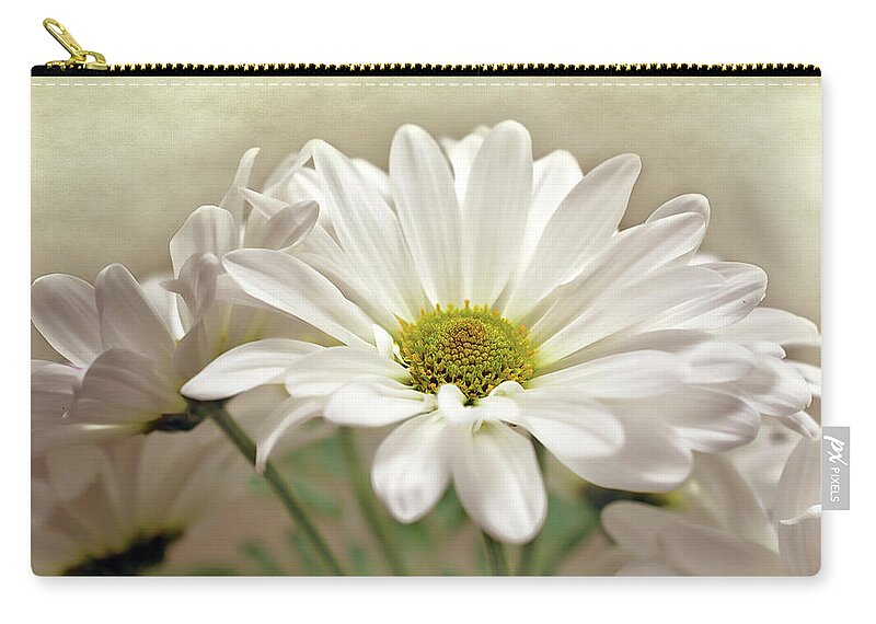 Daisies In Light Photo Zip Pouch featuring the photograph Inspired Daisies Print by Gwen Gibson