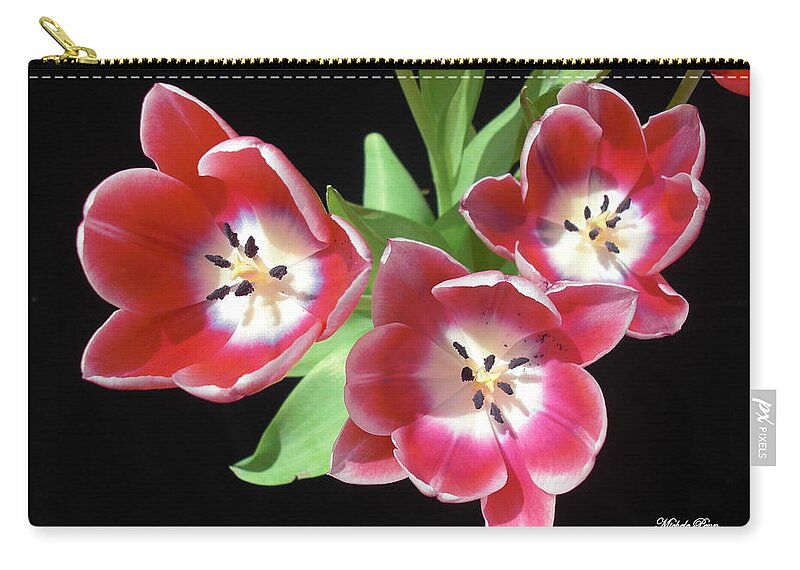 Flower Photograph Zip Pouch featuring the photograph Integrity by Michele Penn