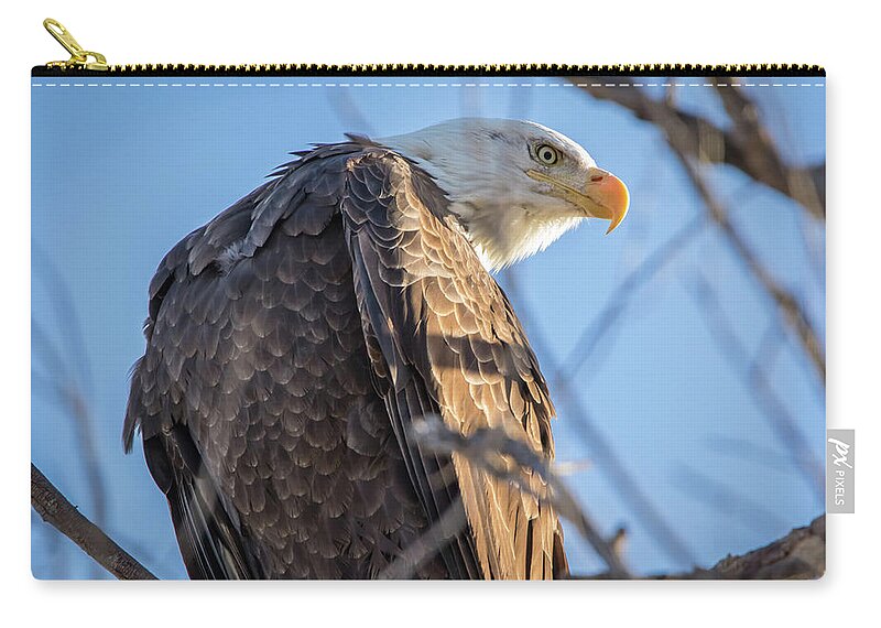 California Zip Pouch featuring the photograph Intense by Marc Crumpler