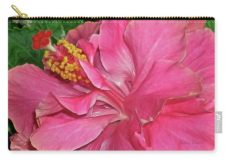 An Intimate Invitation Zip Pouch featuring the photograph An Intimate Invitation by James Temple